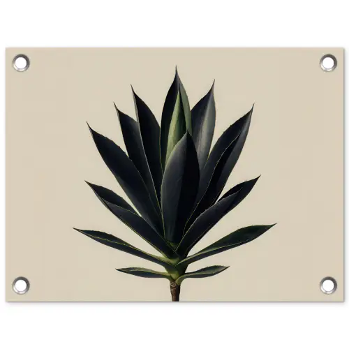 Agaveplant - Symmetrisch - Groen tuinposter los doek klein -3d