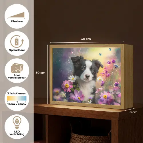 Hond - Bloemen - Natuur - Puppy - Bordercollie Light Box met batterij (Wandlamp kind) middel -USP_websiteoverzichtNL