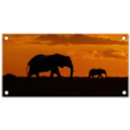 Olifanten - Savanne - Zonsondergang tuinposter los doek klein -3d