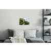 Uil - Boomstronk - Bos - Lucht Muursticker klein -slaapkamer