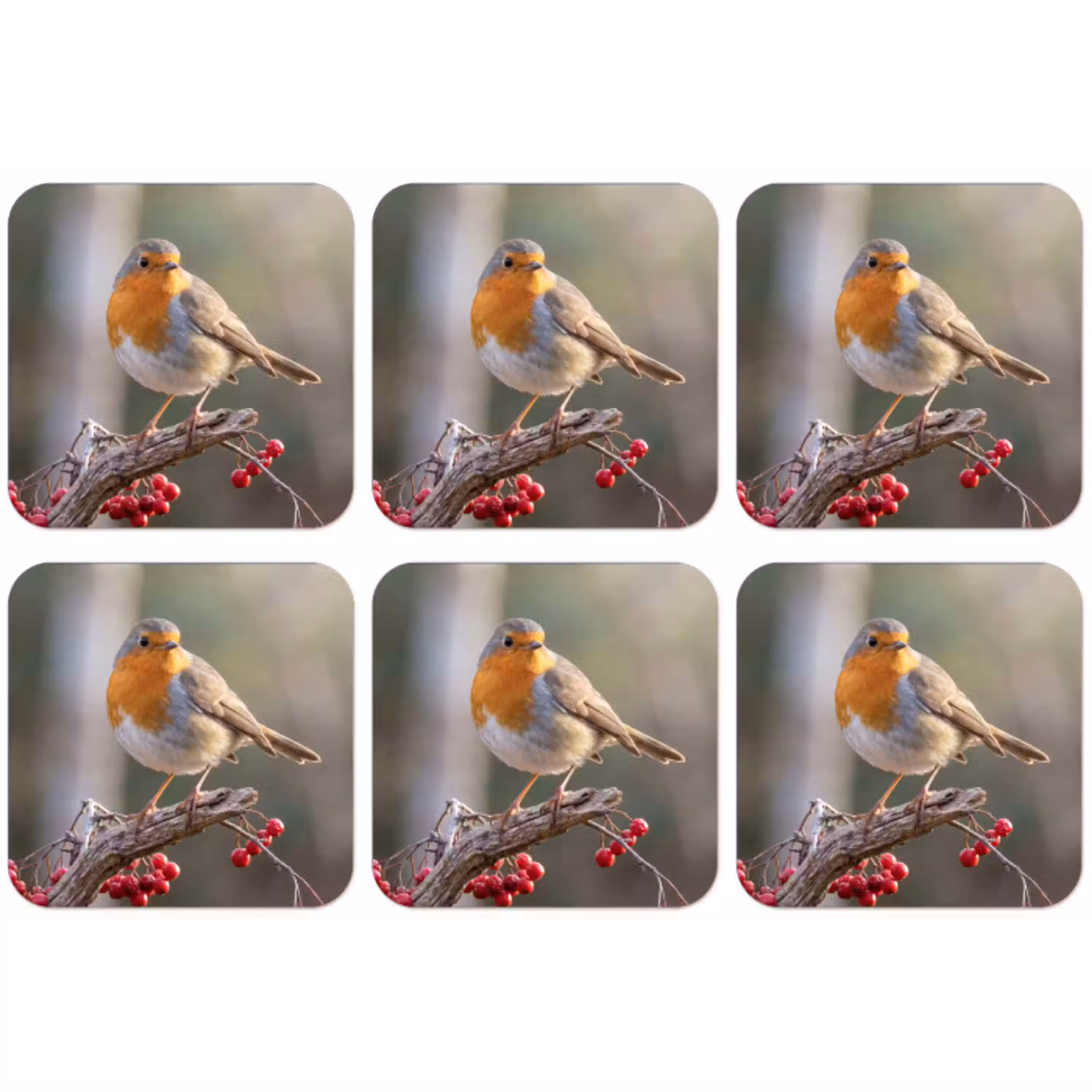 Roodborst - Tak - Bessen - Natuur onderzetter kurk middel -zkaufland3dotto