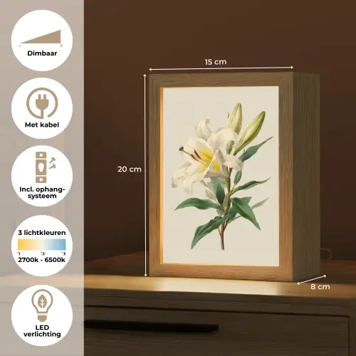 Lelie - Elegant - Botanisch - Beige Light Box met kabel (Tafellamp) klein -USP_NL