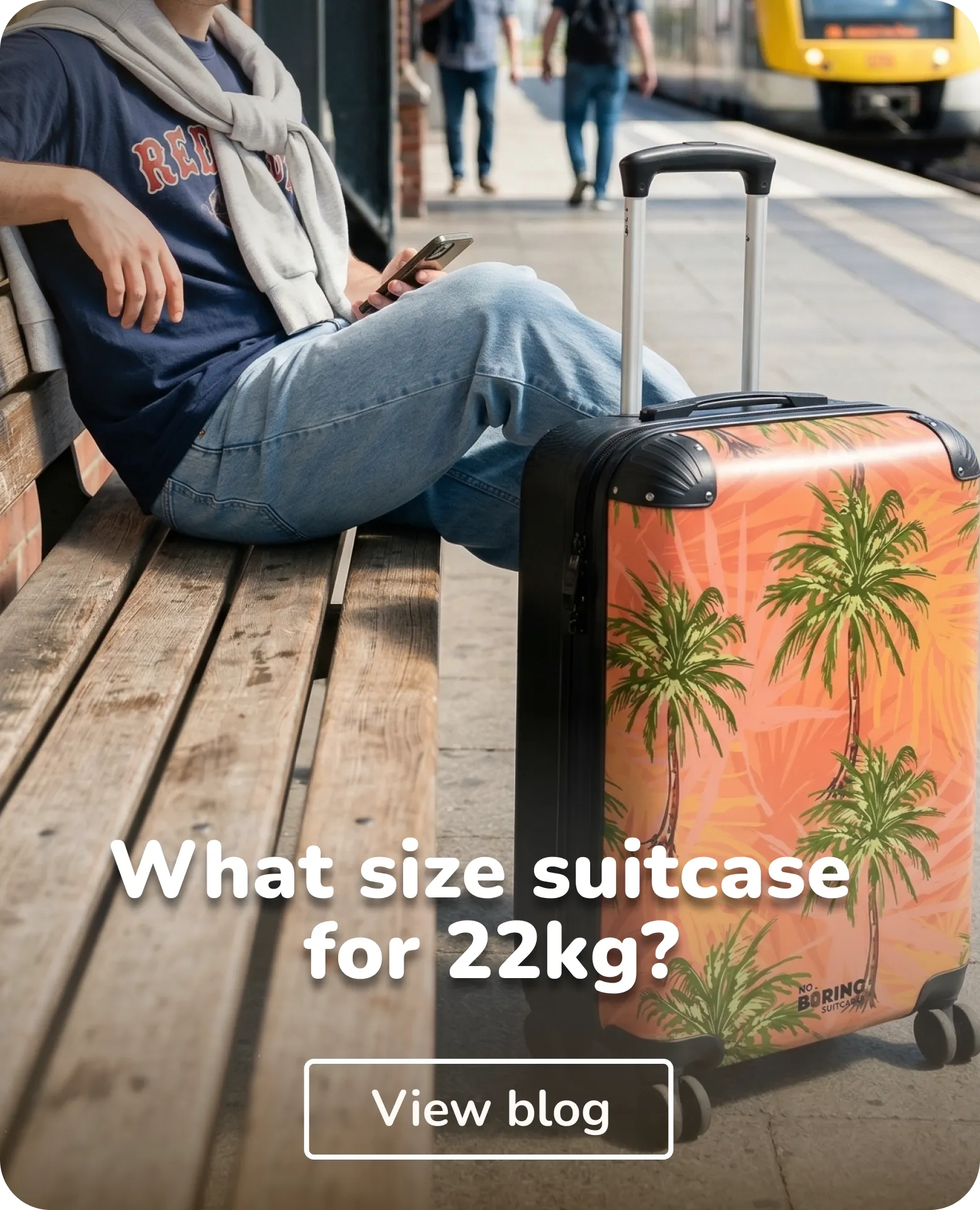 guy with suitcase on a station