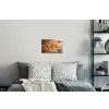 Wereldkaart - Pizza - Houten ondergrond Muursticker klein -slaapkamer