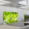 Natuur - Lente - Groen - Bladeren keuken achterwand spatscherm klein -3d_schuin