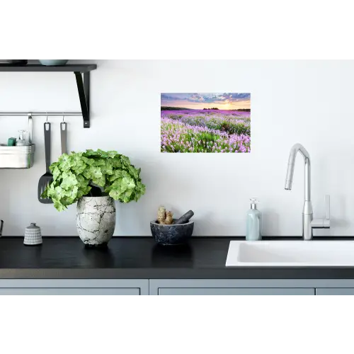 Lavendel - Bloemen - Zonsondergang - Paars - Weide Muursticker klein -keuken