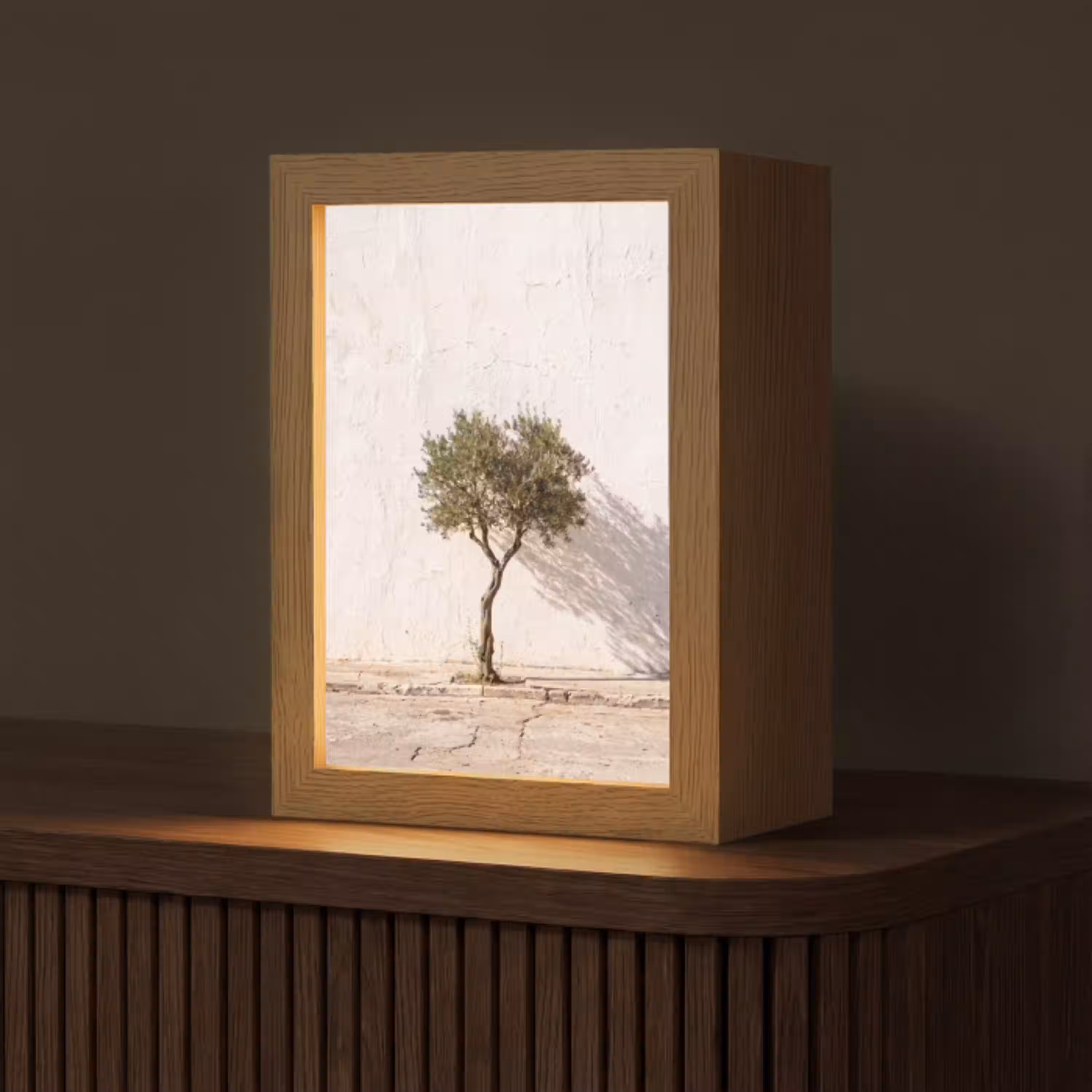 Olijfboom - muur - wit Light Box met kabel (Tafellamp) klein -z3d_website