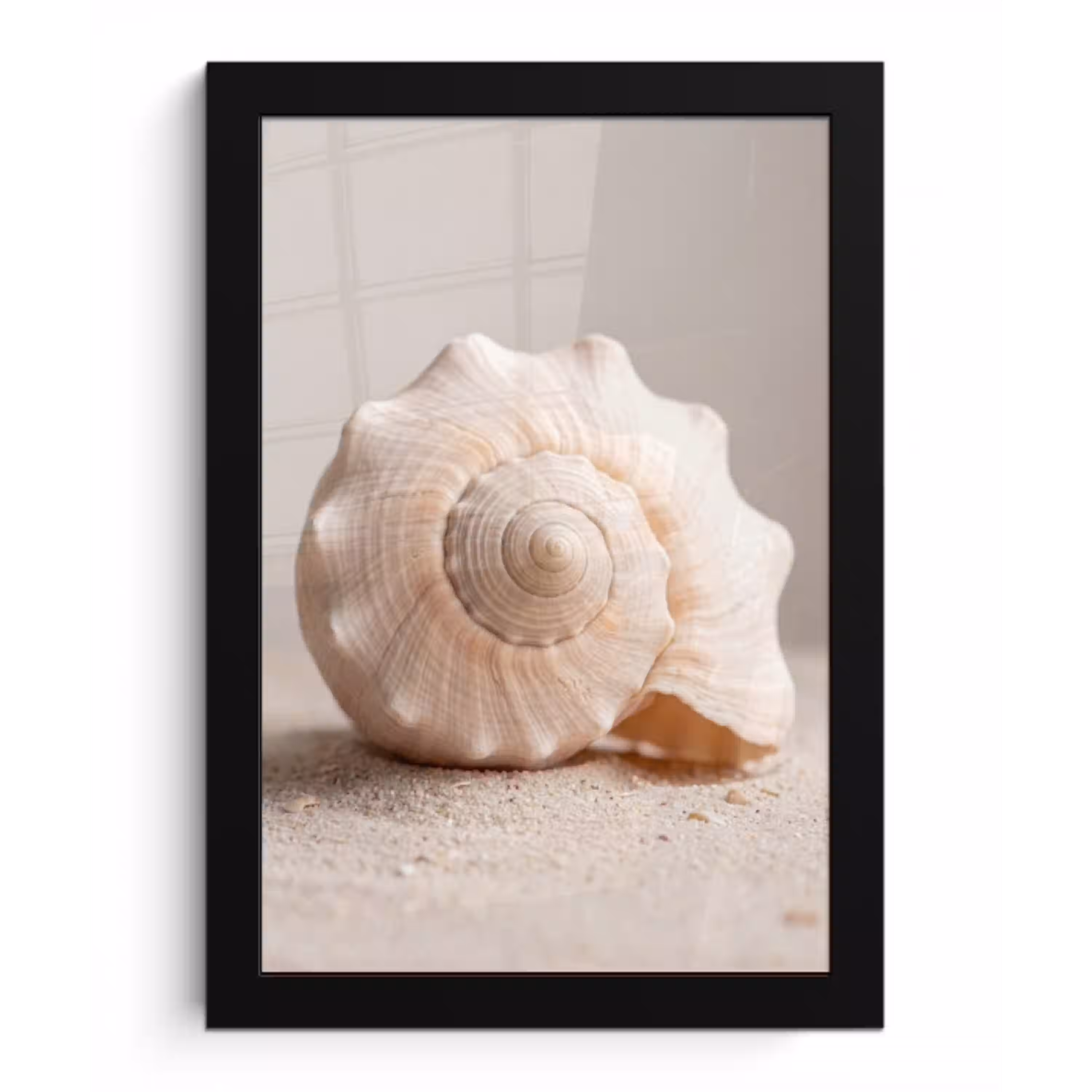 Schelp - Detail - Beige fotolijst zwart zonder passe partout klein -3d