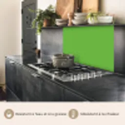Groen - Kleuren - Natuur keuken achterwand 2 middel 865 -usp_FR