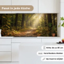 Zonlicht - Bospad - Bomen keuken achterwand 2 middel -sfeer4_DE