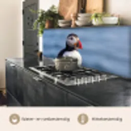 Papegaaiduiker - Portret - Natuur keuken achterwand 2 middel -usp_NL