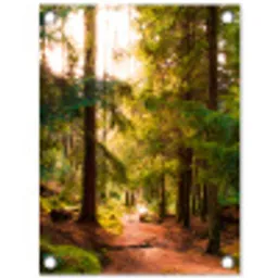 Mossig bospad tuinposter los doek klein -3d