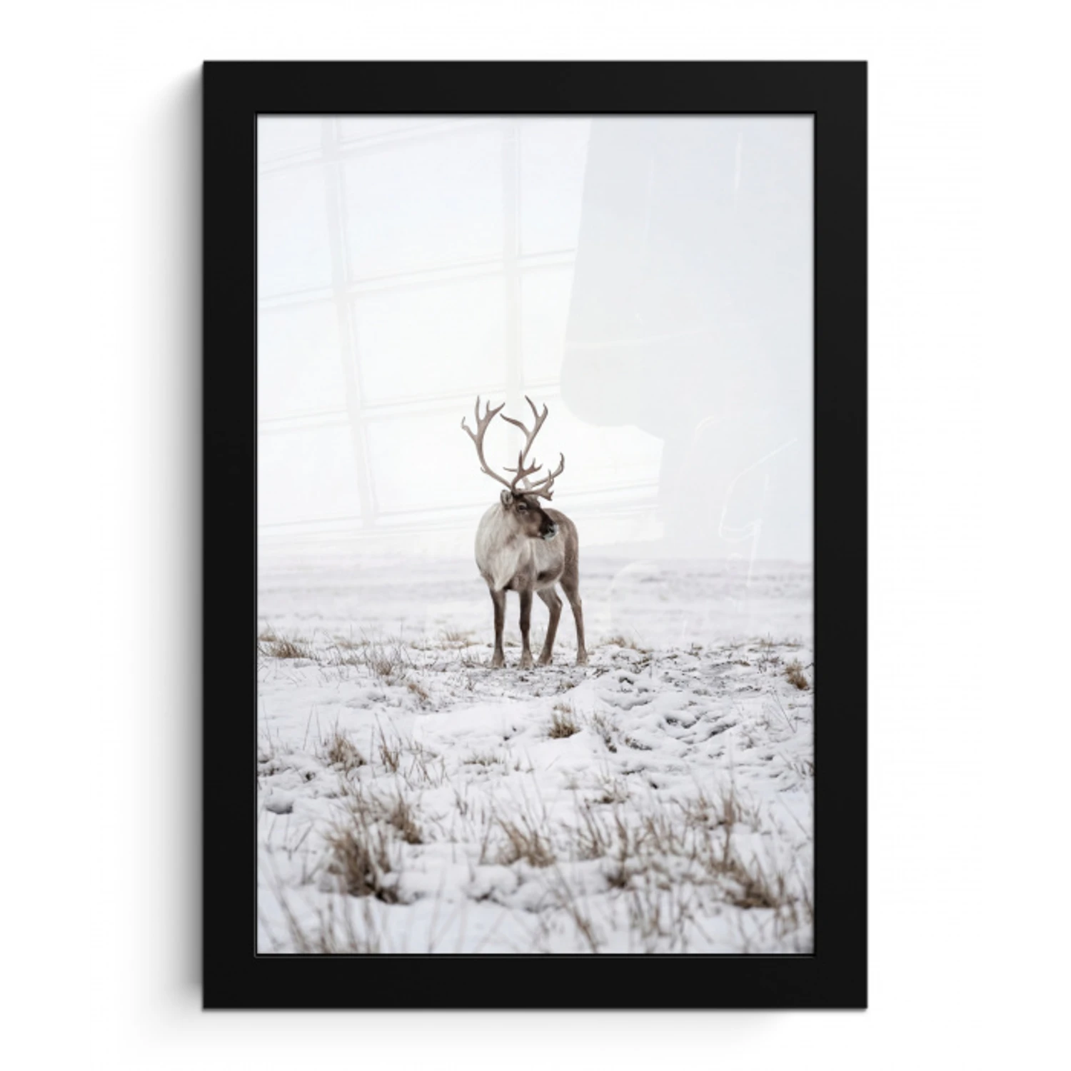 Rendier - Gewei - Sneeuw - Winter fotolijst zwart zonder passe partout klein -3d