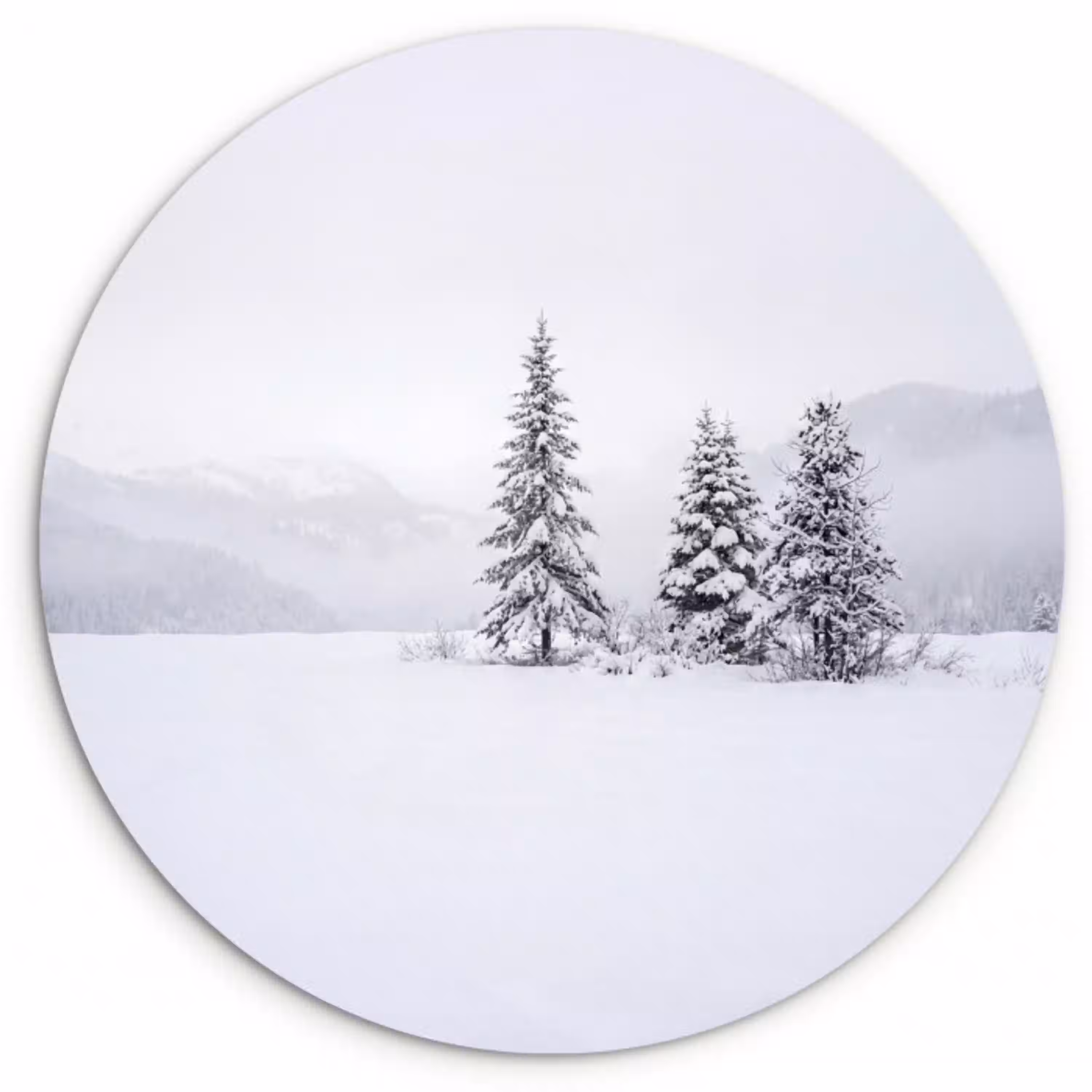 Fijnsparren - Sneeuw - Winter - Landschap - Stilte Wandcirkel kunststof plaat 5mm dik klein -3d