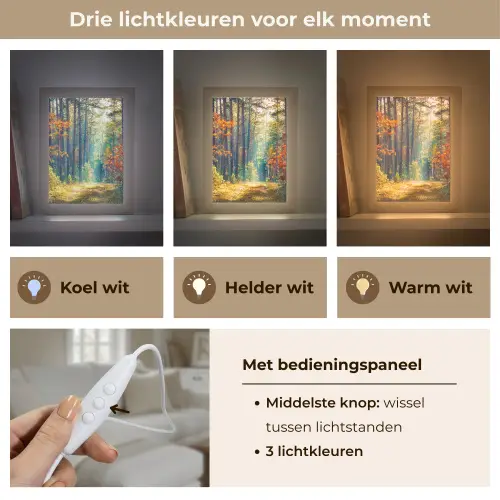 Bos - Zon - Natuur - Herfst Light Box met kabel (Tafellamp) klein -USP_lichtkleurNL