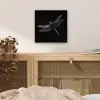 Libelle - Dieren - Zwart - Insect aluminium wit klein -sfeer3