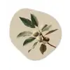 Tak - Groene Bladeren - Vruchten Wandcirkel Organisch Forex 3mm klein -3d