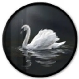 Zwaan - Water - Natuur - Realistisch - Wit Fotolijst rond zonder passe partout klein -3d