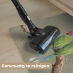 Papagaai - Tak - Natuur - Kleurrijk Deurmat klein -reinigen_NL