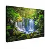 Waterval in het Regenwoud Tuinposter op houten frame 2 cm dik klein -3d