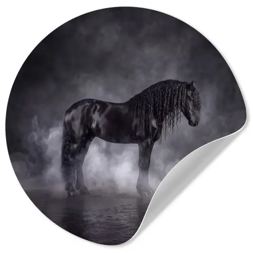 Paard - Magisch - Zwart Wandcirkel behangsticker klein -3d