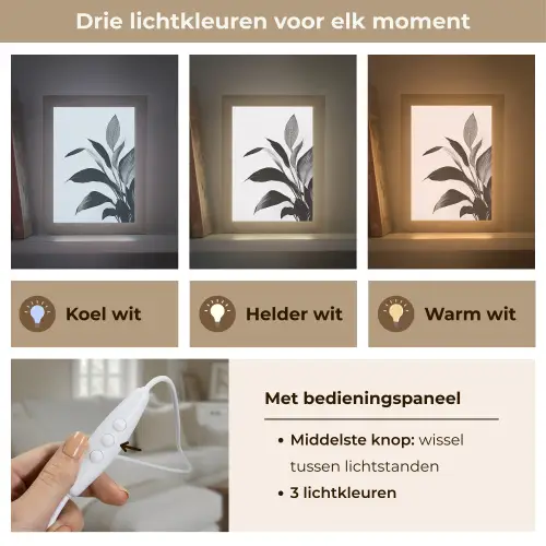 Plant - Bladeren - Minimalistisch - Zwart Light Box met kabel (Tafellamp) klein -USP_lichtkleurNL