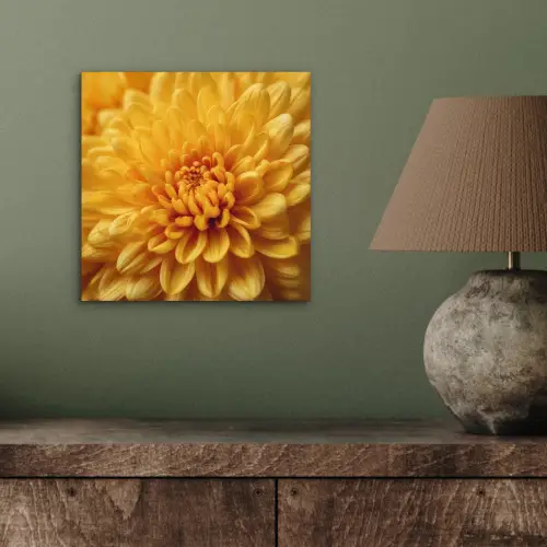 Geel - Chrysant - Zachtheid aluminium wit klein -sfeer2