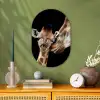 Giraffe - Dieren - Zwart - Portret - Dieren Wandcirkel Ovaal Forex klein -sfeer2