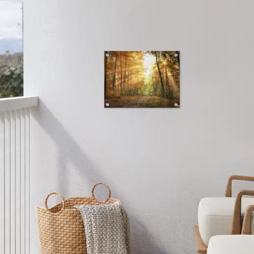Bos - Herfst - Zon - Landschap - Natuur - Bomen - Bladeren tuinposter los doek klein -sfeer8