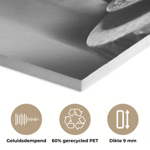 Paard - Bord - Pasta - Tafelkleed - Zwart Wit - Dieren PET vilt klein -closeup_NL