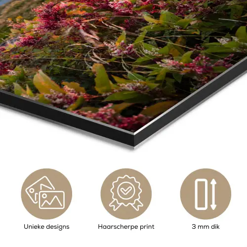 Bloemen - Bergen - Landschap - Nacht - Lucht - Roze aluminium wit klein -closeup_NL