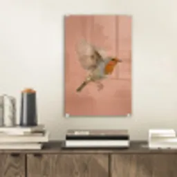 Roodborst - Natuur - Roze plexiglas 5mm klein -sfeer1