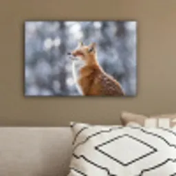 Vos - Sneeuwval - Portret - Winter - Sfeervol canvas 2cm klein -sfeer3