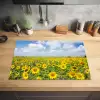 Zonnebloemen - Bloemen - Wolken - Natuur - Geel - Landschap Inductie beschermer vinyl 3mm klein -sfeer5