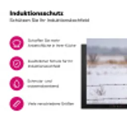 Sneeuwuil - Hek - Sneeuw - Wit Inductie beschermer vinyl 3mm klein -zzzzzzz-lf-ups