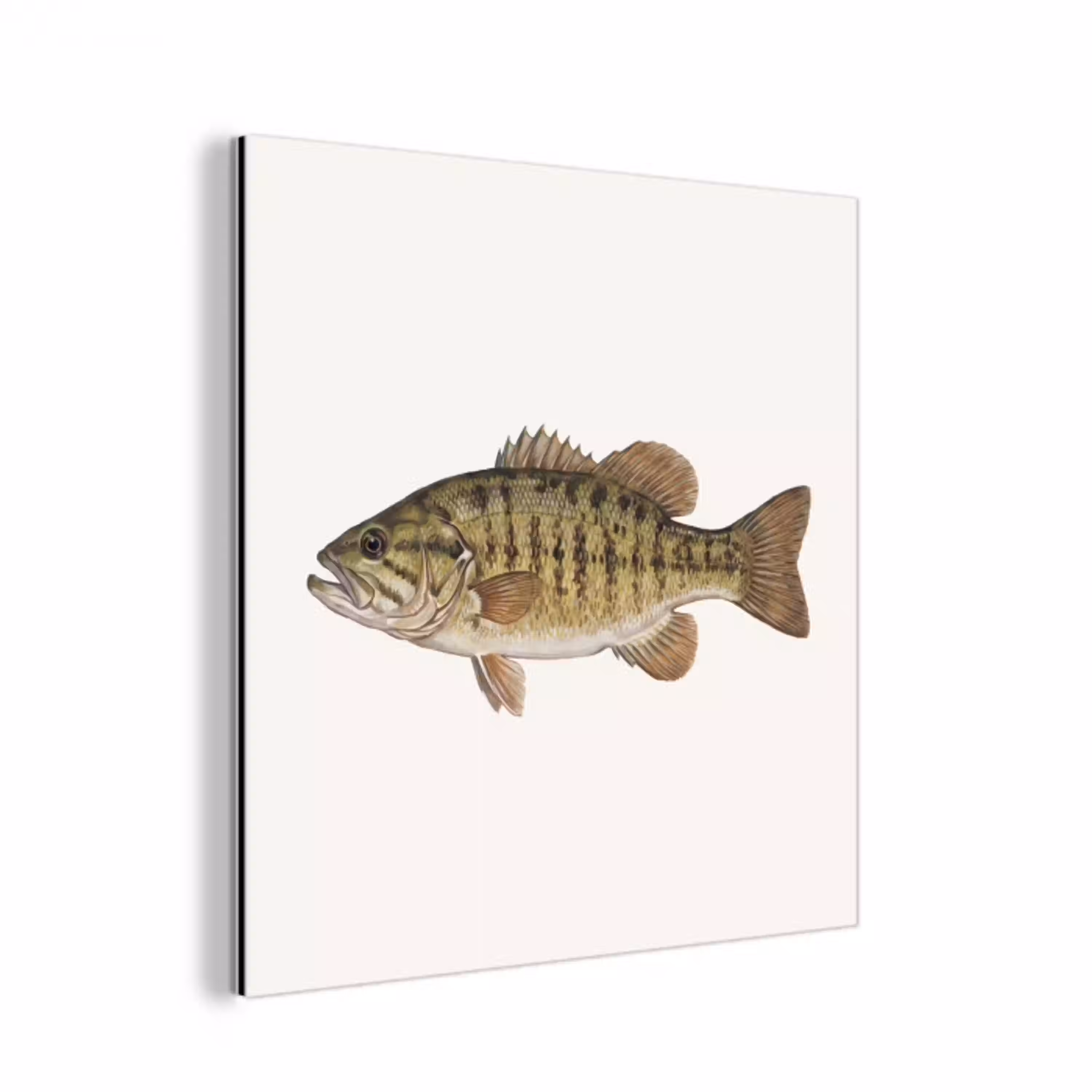 Vissen - Natuur - Vintage aluminium wit klein -3d
