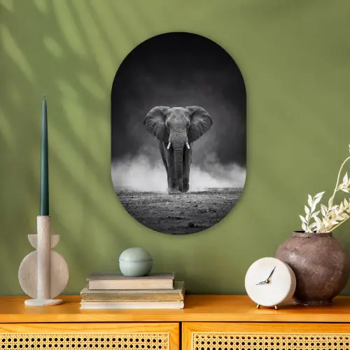 Olifant - Zwart - Wit - Rook Wandcirkel Ovaal Forex klein -sfeer2