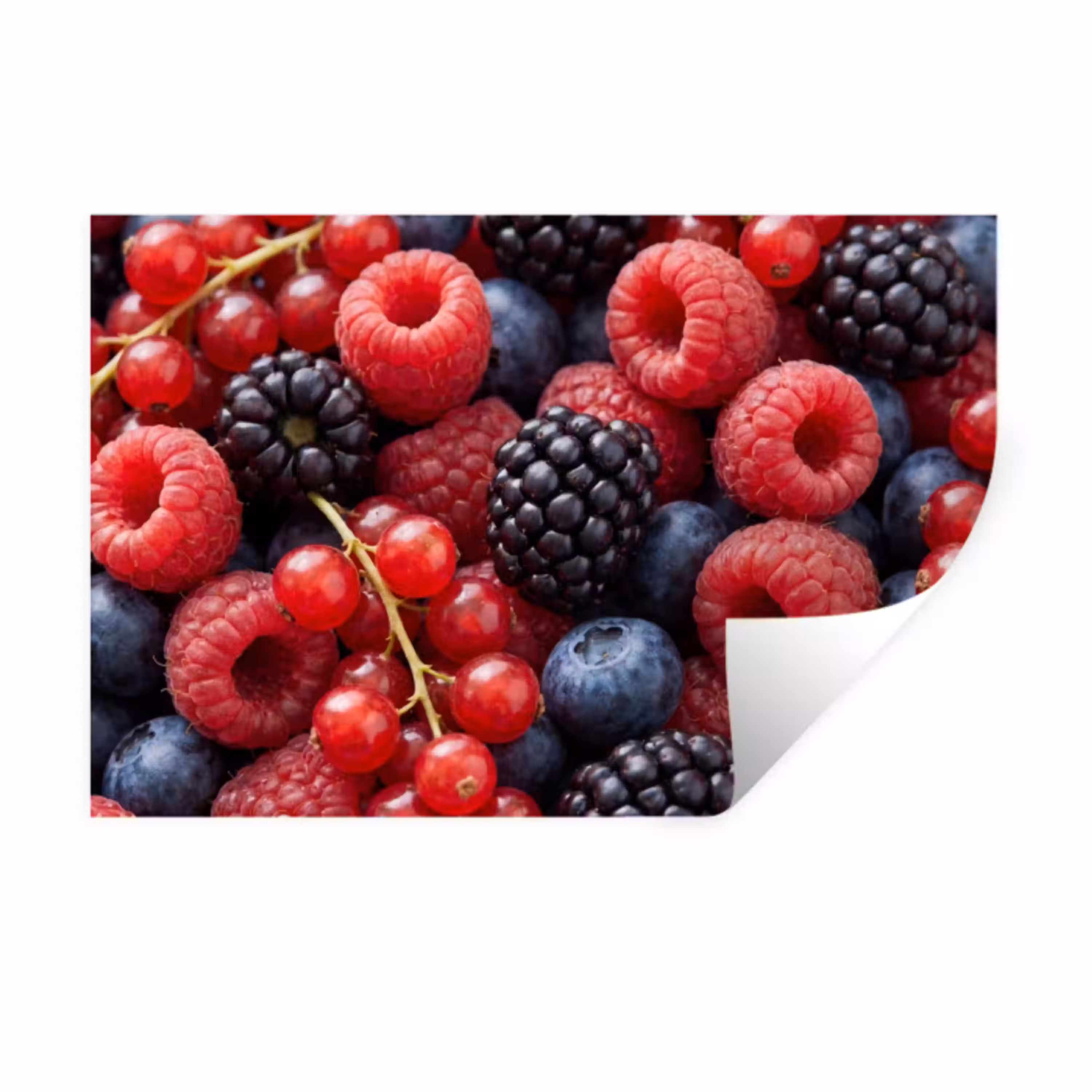 Bessen - Mix - Vers - Eten - Kleurrijk Muursticker klein -3d