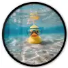 Duikbril - Eend - Water Fotolijst rond zonder passe partout klein -3d