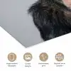 Chimpansee - Badeend - Grijs poster papier klein -closeup_NL