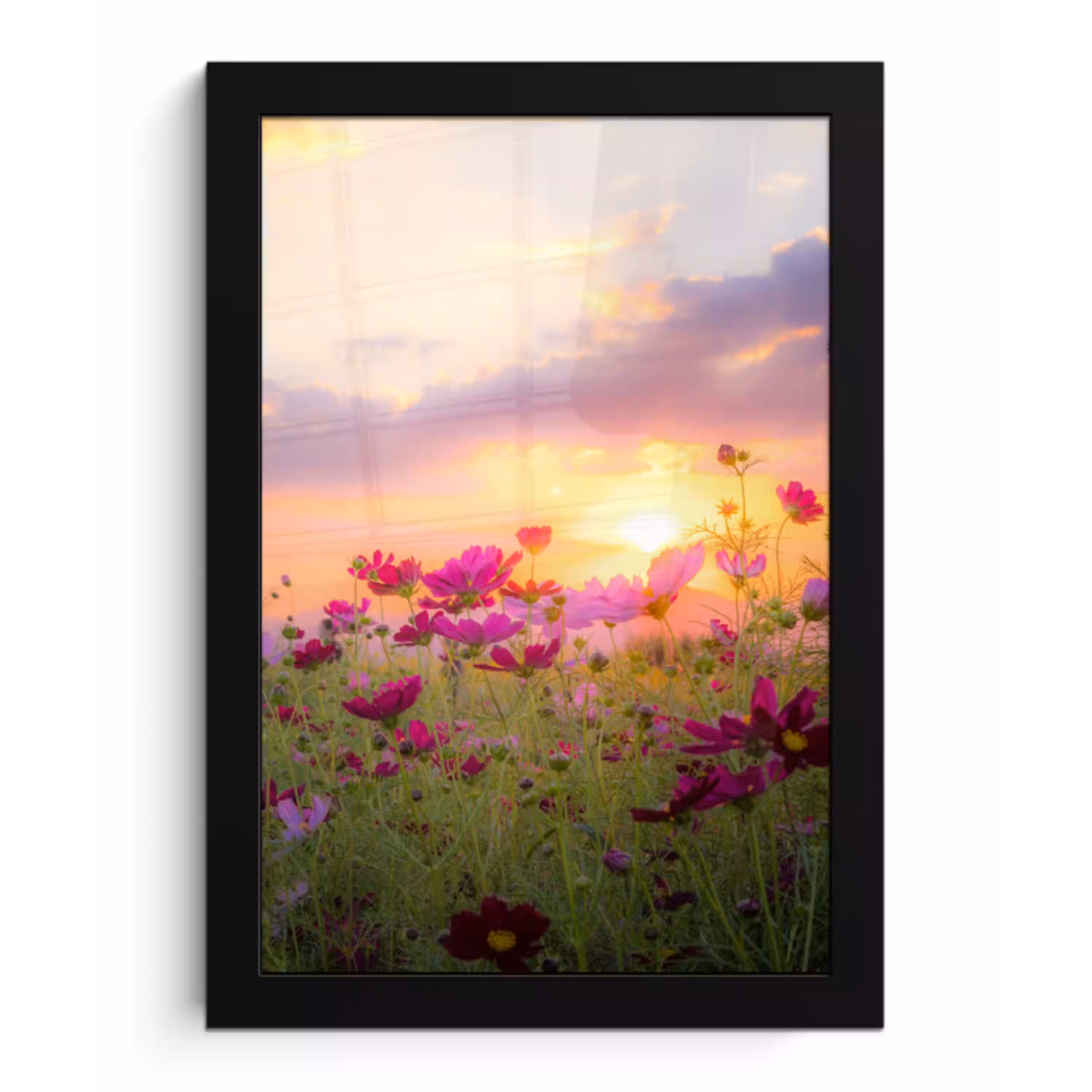 Bloemen - Roze - Zonsondergang - Natuur - Weide - Horizon fotolijst zwart zonder passe partout klein -3d