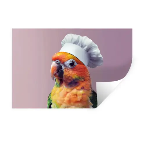Papegaai - Koksmuts - Nieuwsgierig - Vogel Muursticker klein -3d