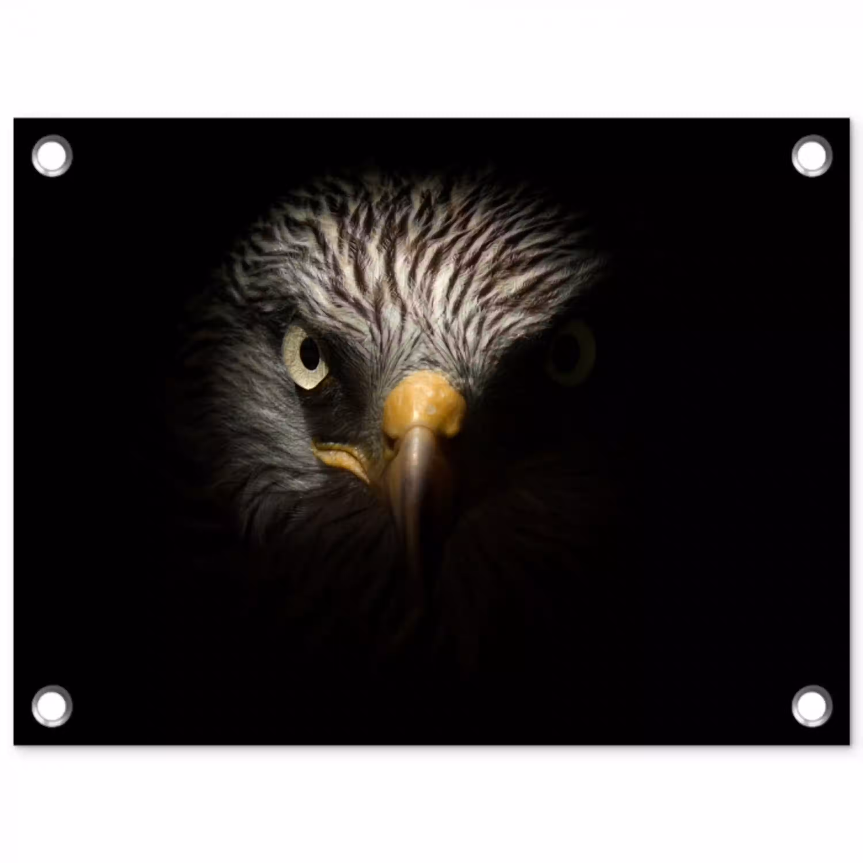 Vogel - Adelaar - Roofvogels - Oog - Snavel - Licht tuinposter los doek klein -3d
