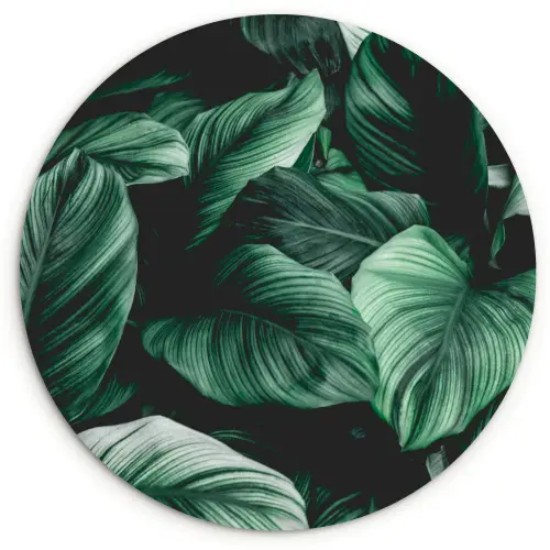 Jungle - Bladeren - Tropisch - Planten - Natuur Wandcirkel kunststof plaat 5mm dik klein -3d