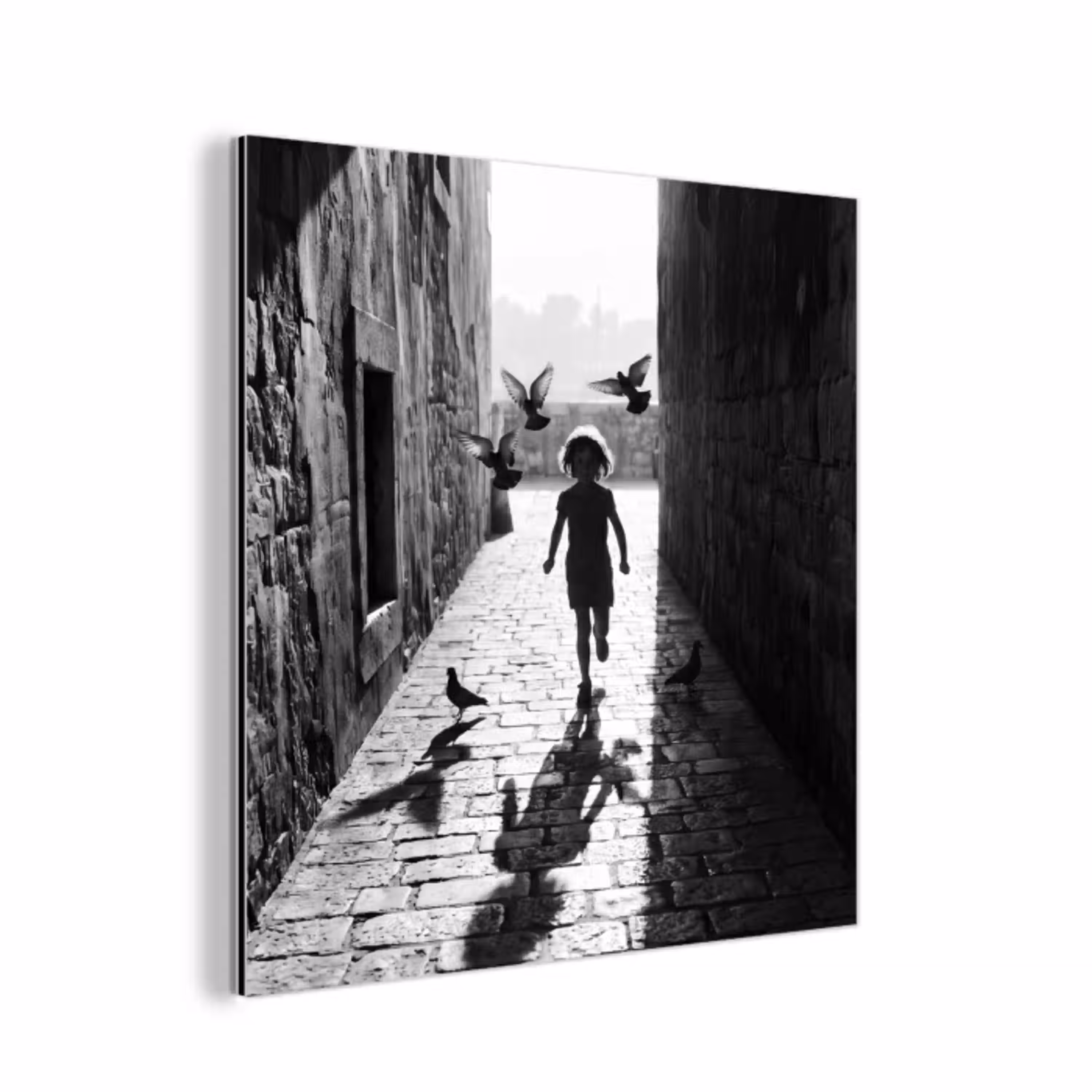Kind - Vogel - Straat - Zwart-wit - Spelen aluminium wit klein -3d