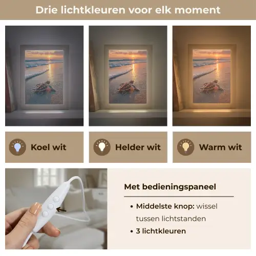 Schildpad - strand - Zonsondergang Light Box met kabel (Tafellamp) klein -USP_lichtkleurNL