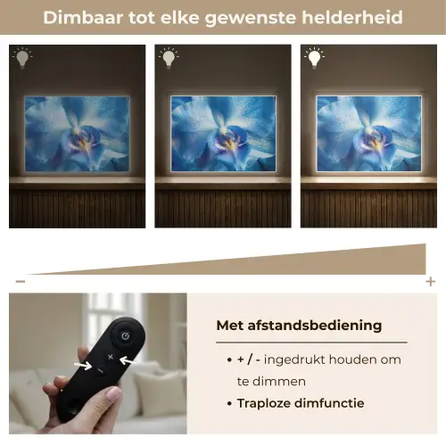 Blauw - Orchidee - Elegeant Light Box met batterij (Wandlamp) middel -USP_dimbaarNL
