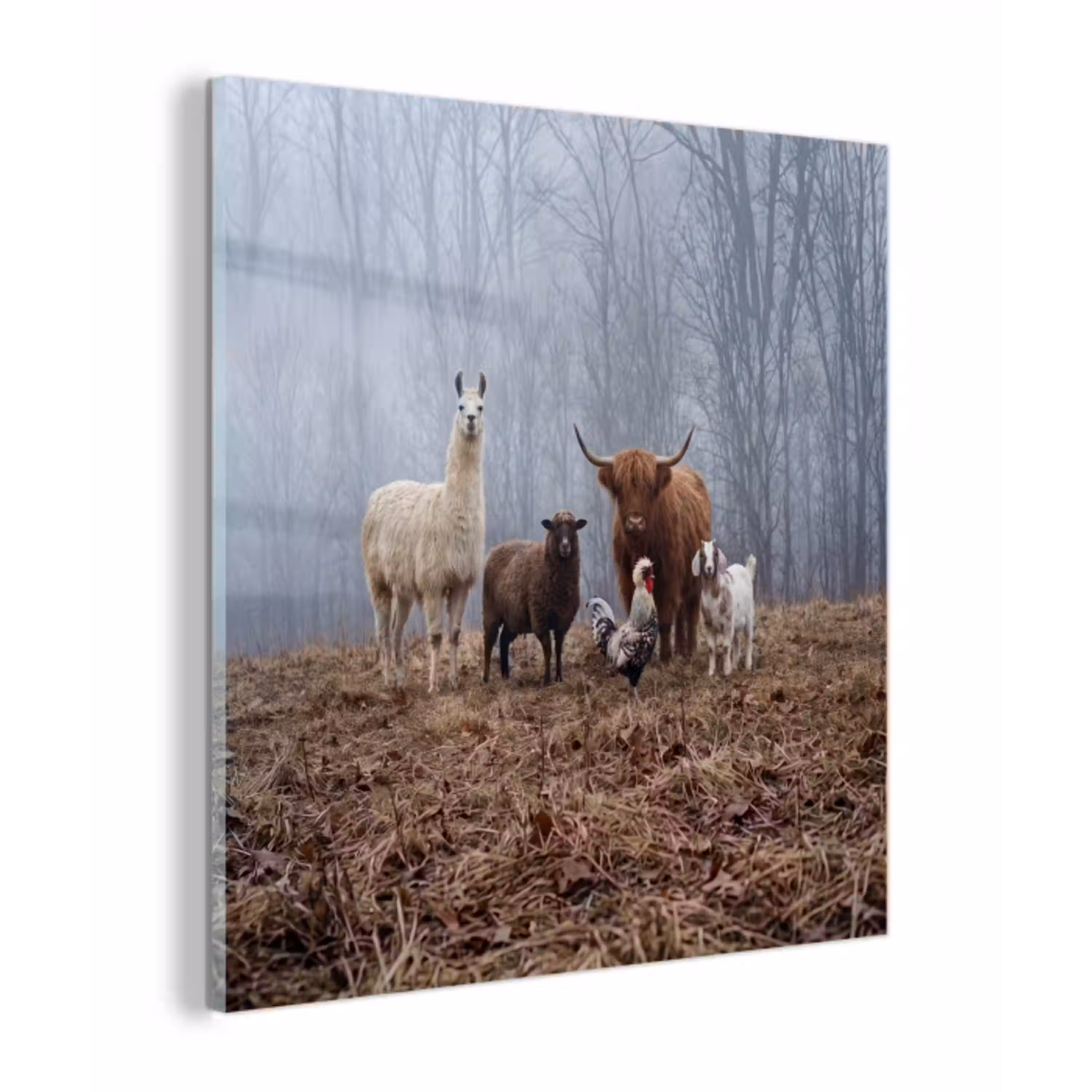 Boerderijdieren - Groep - Mist - Natuur - Rustiek plexiglas 5mm klein -z3d