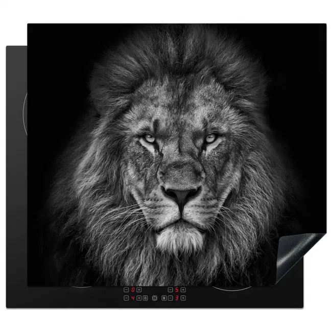 Souvereiniteit in Zwart-Wit Inductie beschermer vinyl 3mm middel -3d