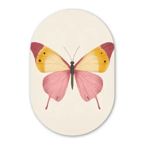 Vlinder - Illustratie - Roze Wandcirkel Ovaal Glas middel -3d